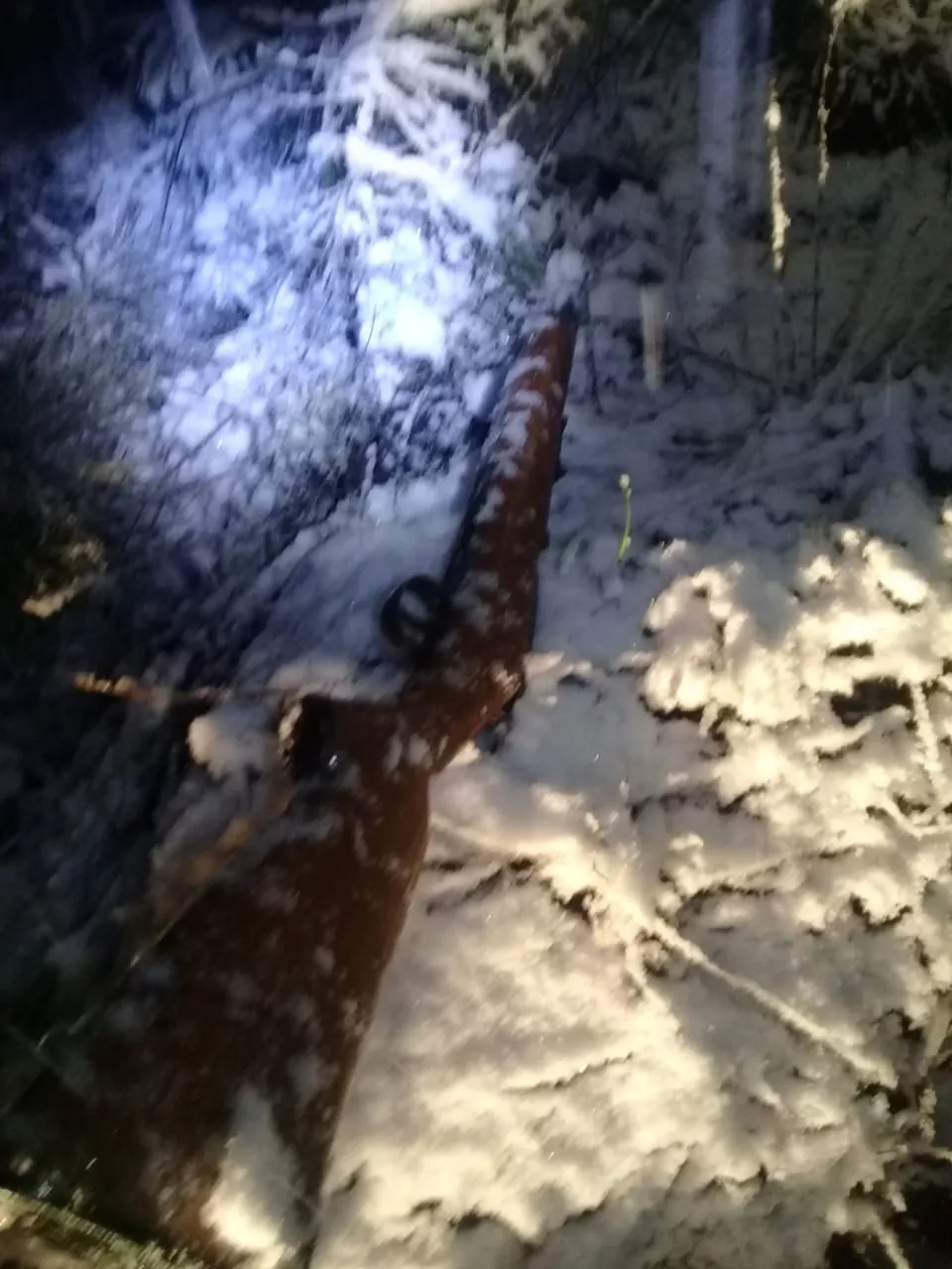 WhatsApp Image 2021-10-04 at 22.38.10