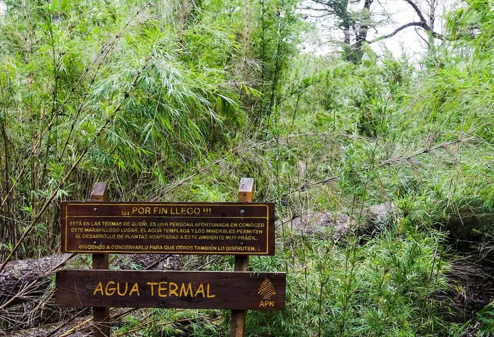 121199284_219419299599809_6879419824044430734_n