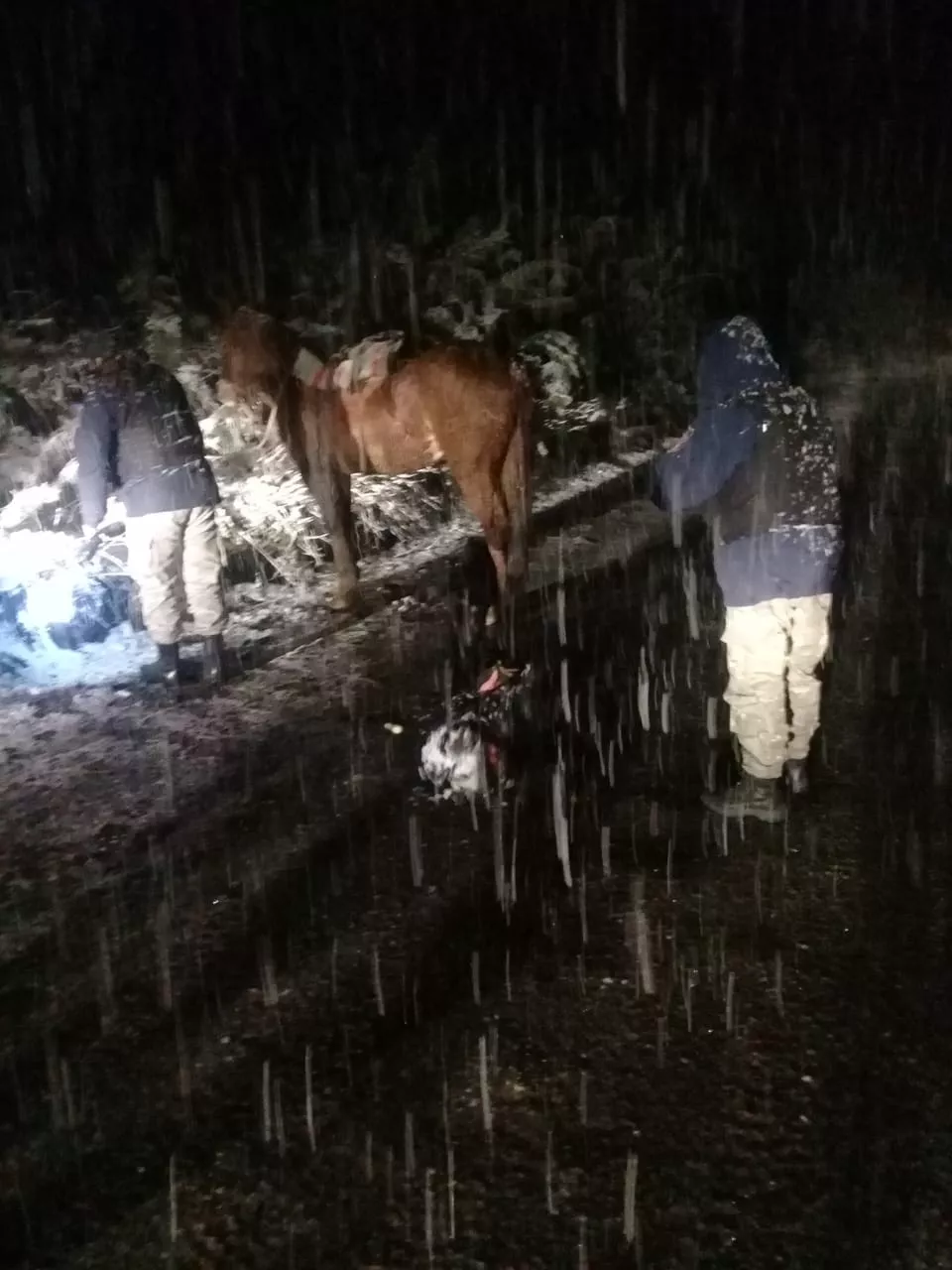 WhatsApp Image 2021-10-04 at 22.38.09