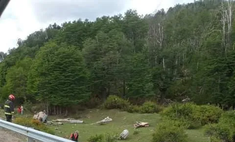 Imagen de WhatsApp 2024-11-08 a las 18.26.12_9e4b0ebb