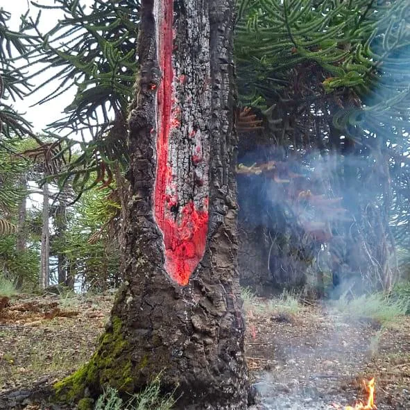 624551978_1195124192800061_130007358733857923_n