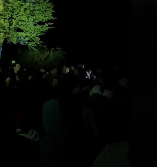 WhatsApp Image 2024-01-22 at 08.19.46