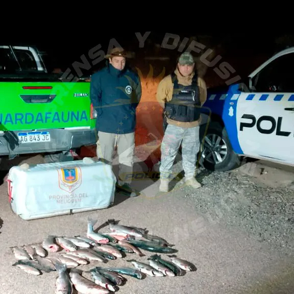 492053470_1101568935335009_4667194881320435430_n