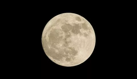 luna-1957965