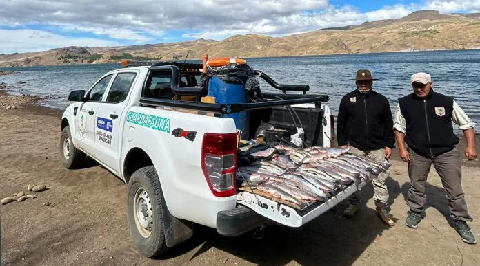 web-Pesca-ilegal-operativos-09-1-696x387