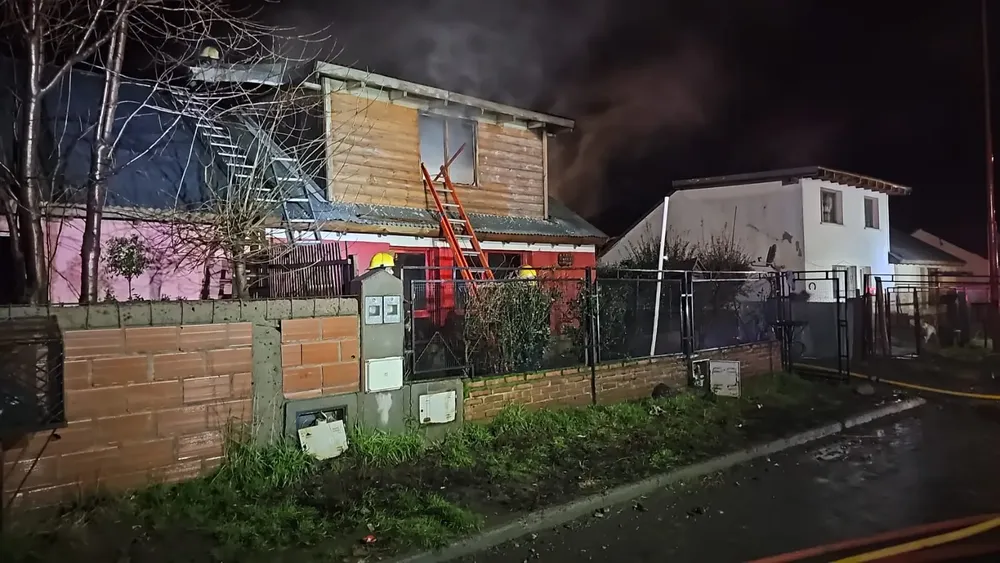 WhatsApp Image 2023-06-25 at 22.54.13