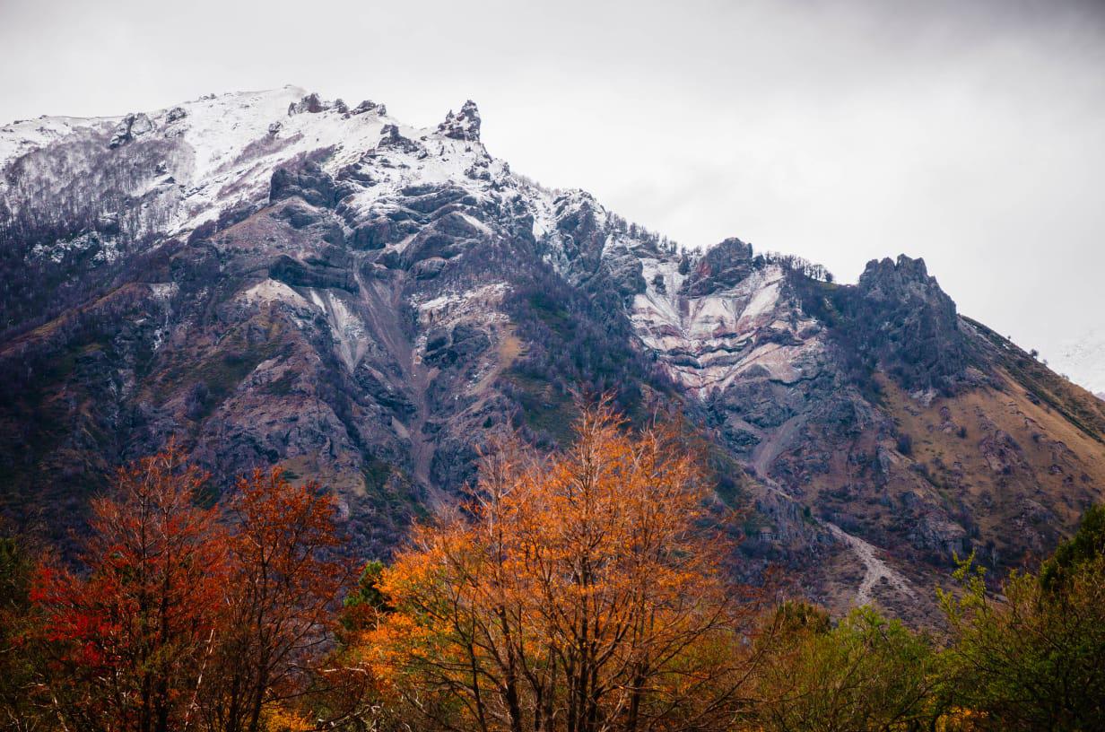 WhatsApp Image 2021-06-03 at 9.02.41 PM