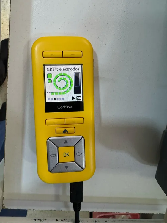 Imagen de WhatsApp 2025-04-03 a las 07.17.51_9b6f1e22