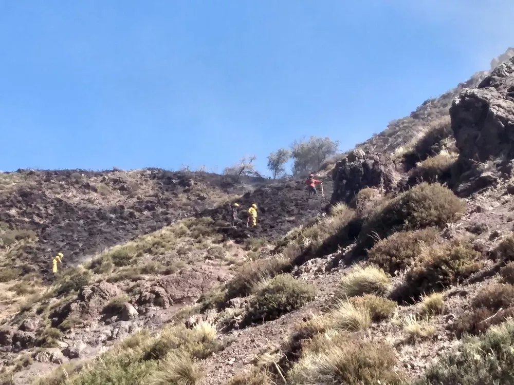 WhatsApp Image 2022-01-14 at 17.17.05