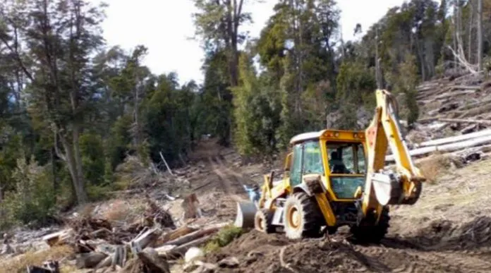 web-Impacto-ambiental-2-696x387