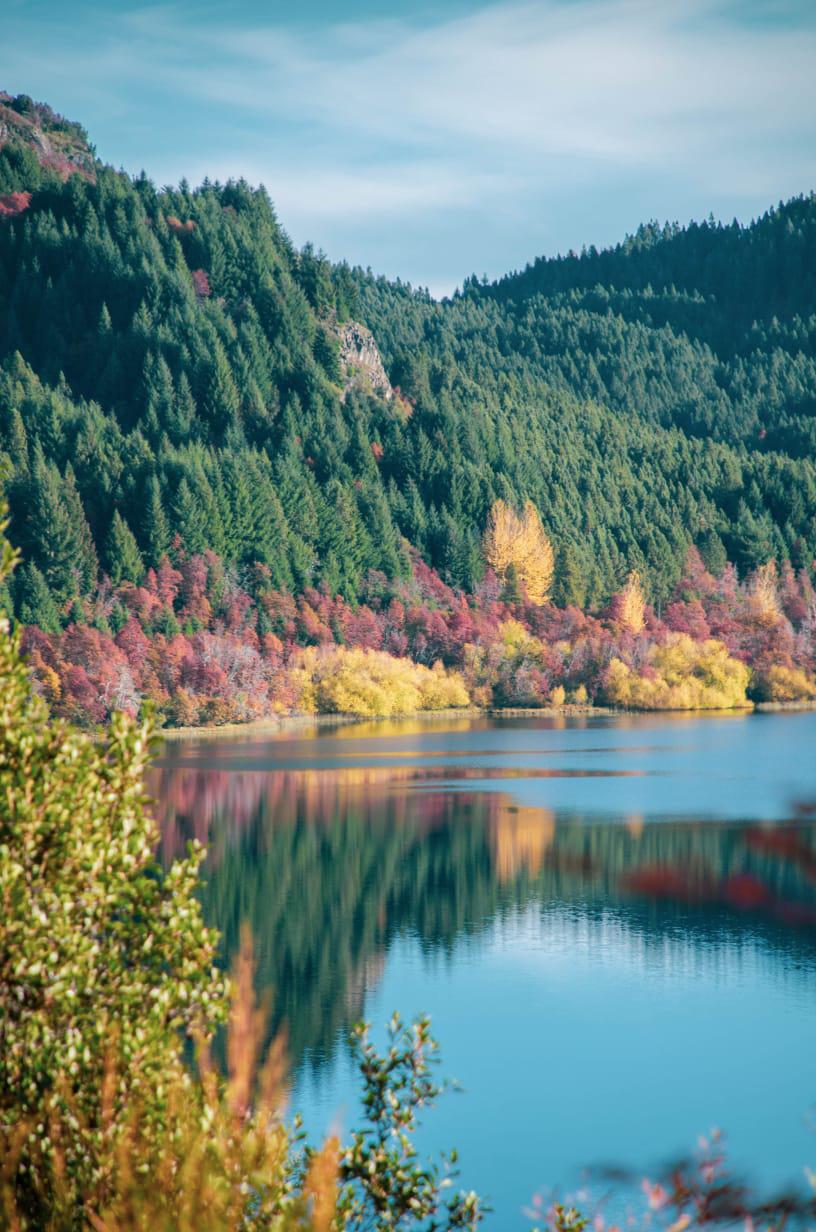 WhatsApp Image 2021-06-03 at 9.02.44 PM (2)