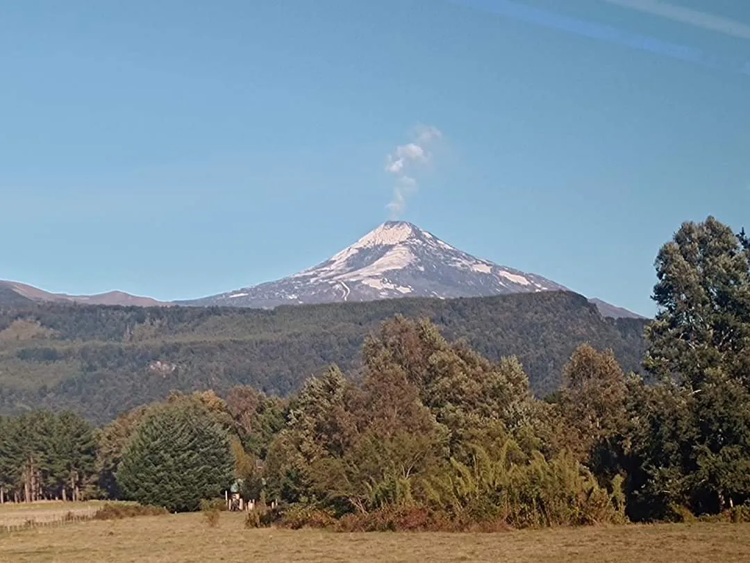 WhatsApp Image 2024-05-19 at 23.31.13