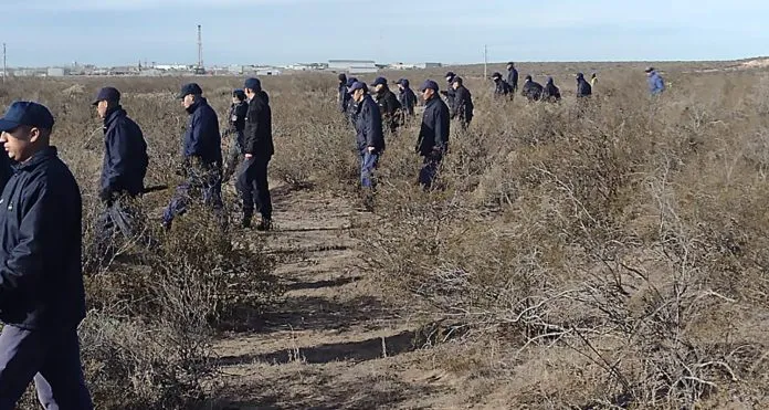 busqueda-luciana1-696x371