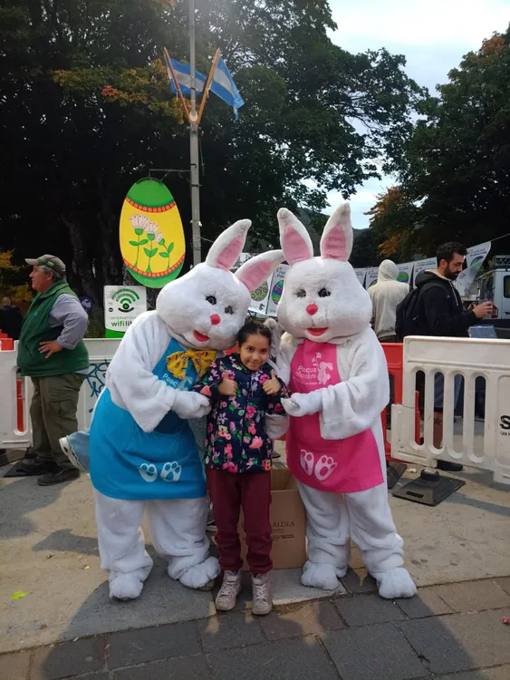 WhatsApp Image 2026-04-04 at 19.37.54