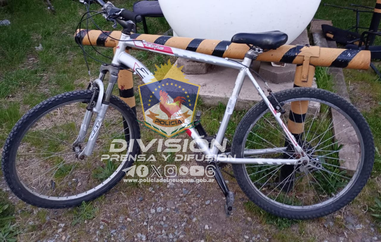 WhatsApp-Image-2023-11-25-at-8.55.00-AM