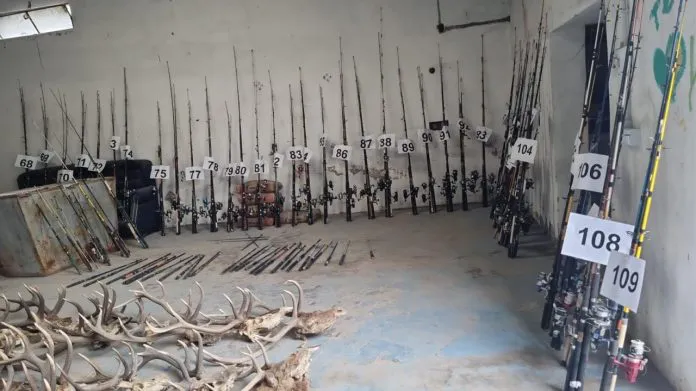 Remate-de-fauna-3-696x391