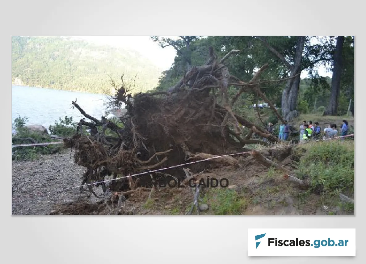 Recurso-de-casacion_1