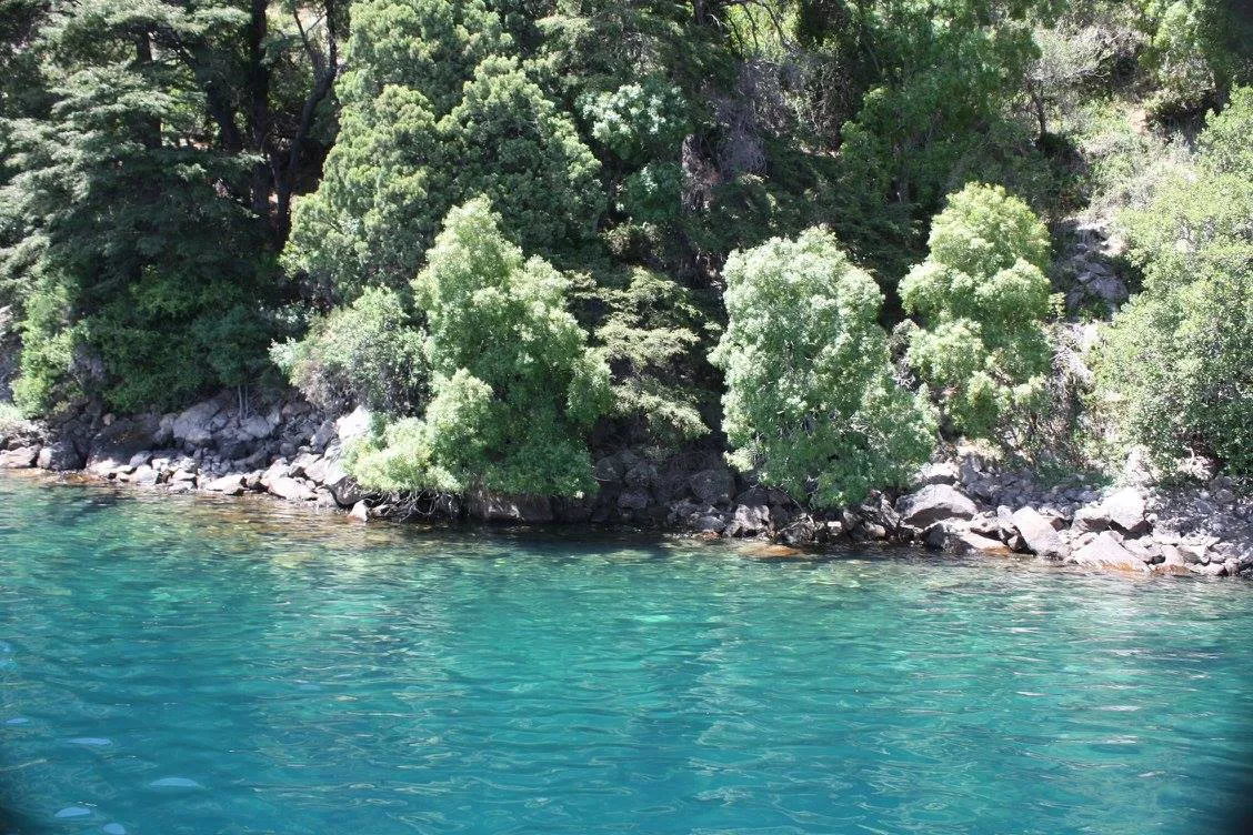 12622116_1115505221845007_6839111138494640593_o