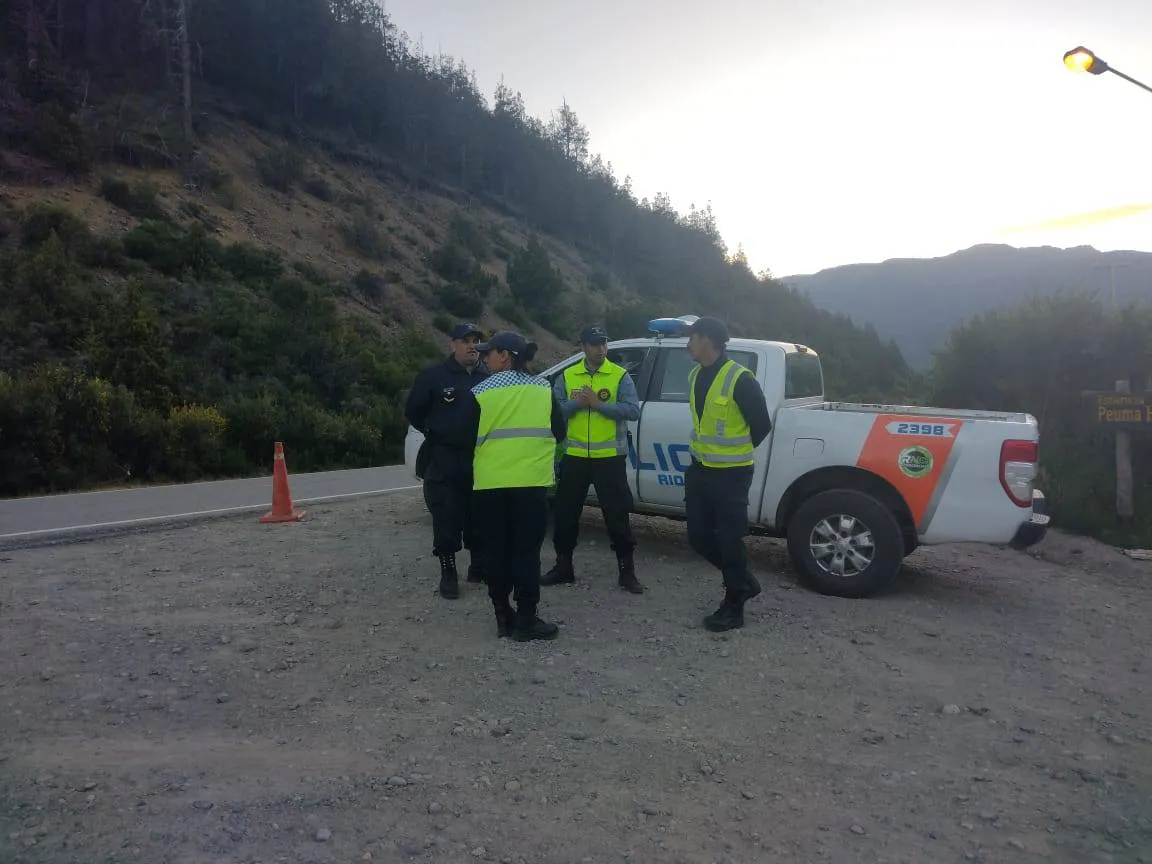 5a9255cf-1419-53da-af1a-747ea2da9de6_mid