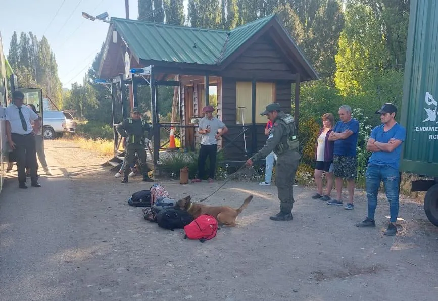 WhatsApp Image 2023-12-28 at 19.05.15