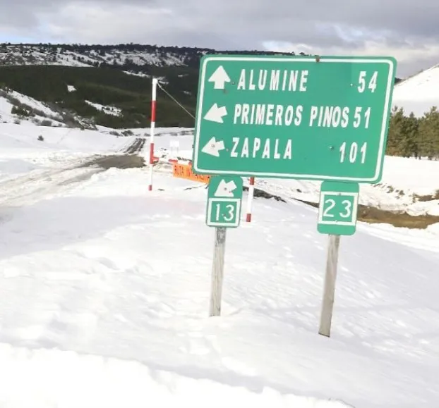 Ruta