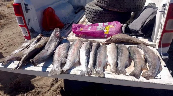 web-operativo-por-pesca-excesiva-29-696x387