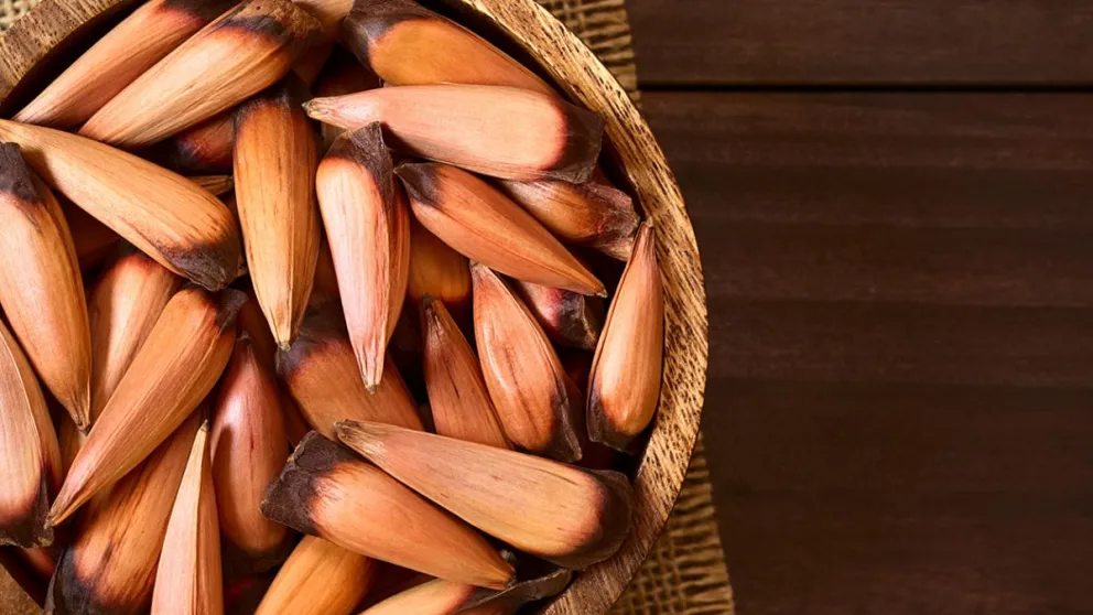 md - 2025-03-05T190757.874