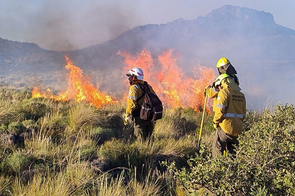 md - 2026-01-25T123052.523