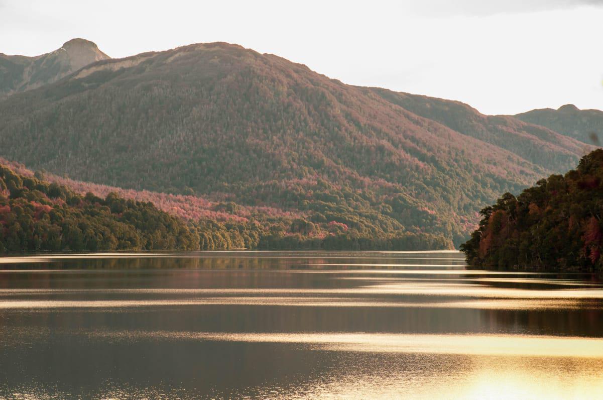 WhatsApp Image 2021-06-03 at 9.02.47 PM