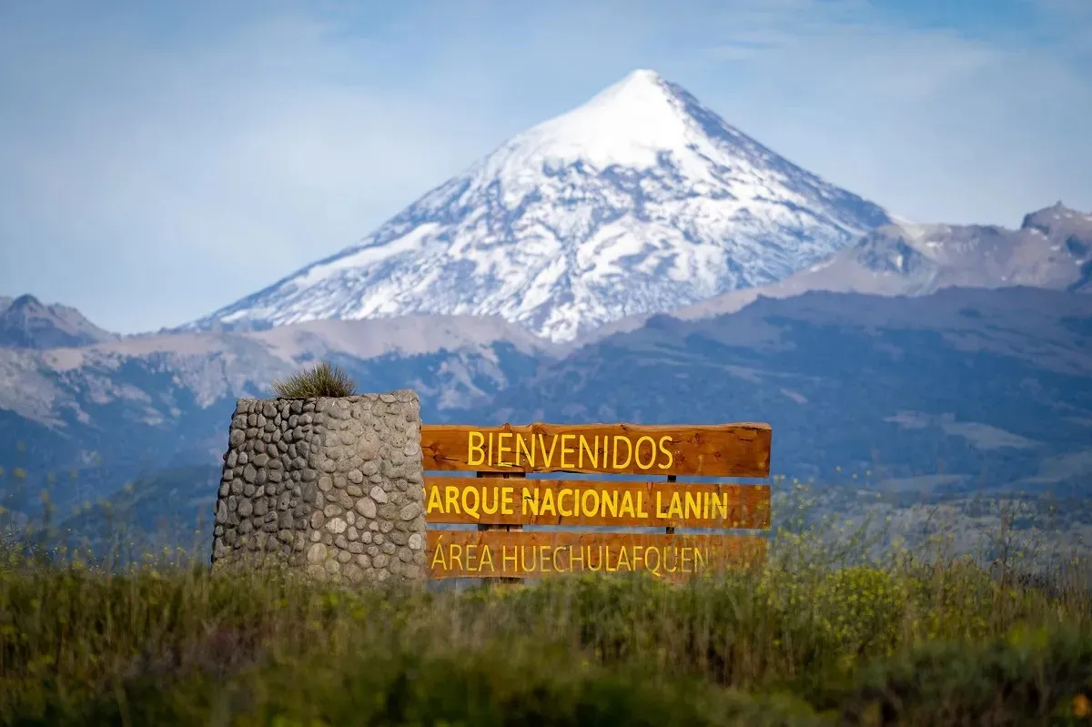 WhatsApp Image 2026-02-10 at 21.17.56