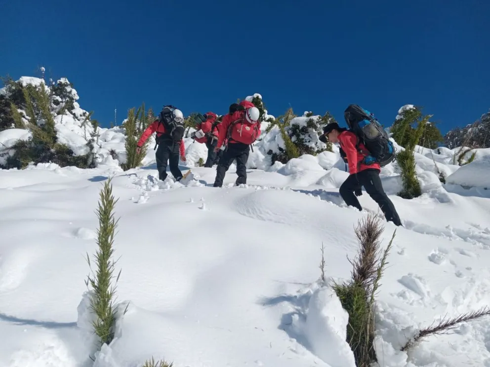 busqueda crianceros