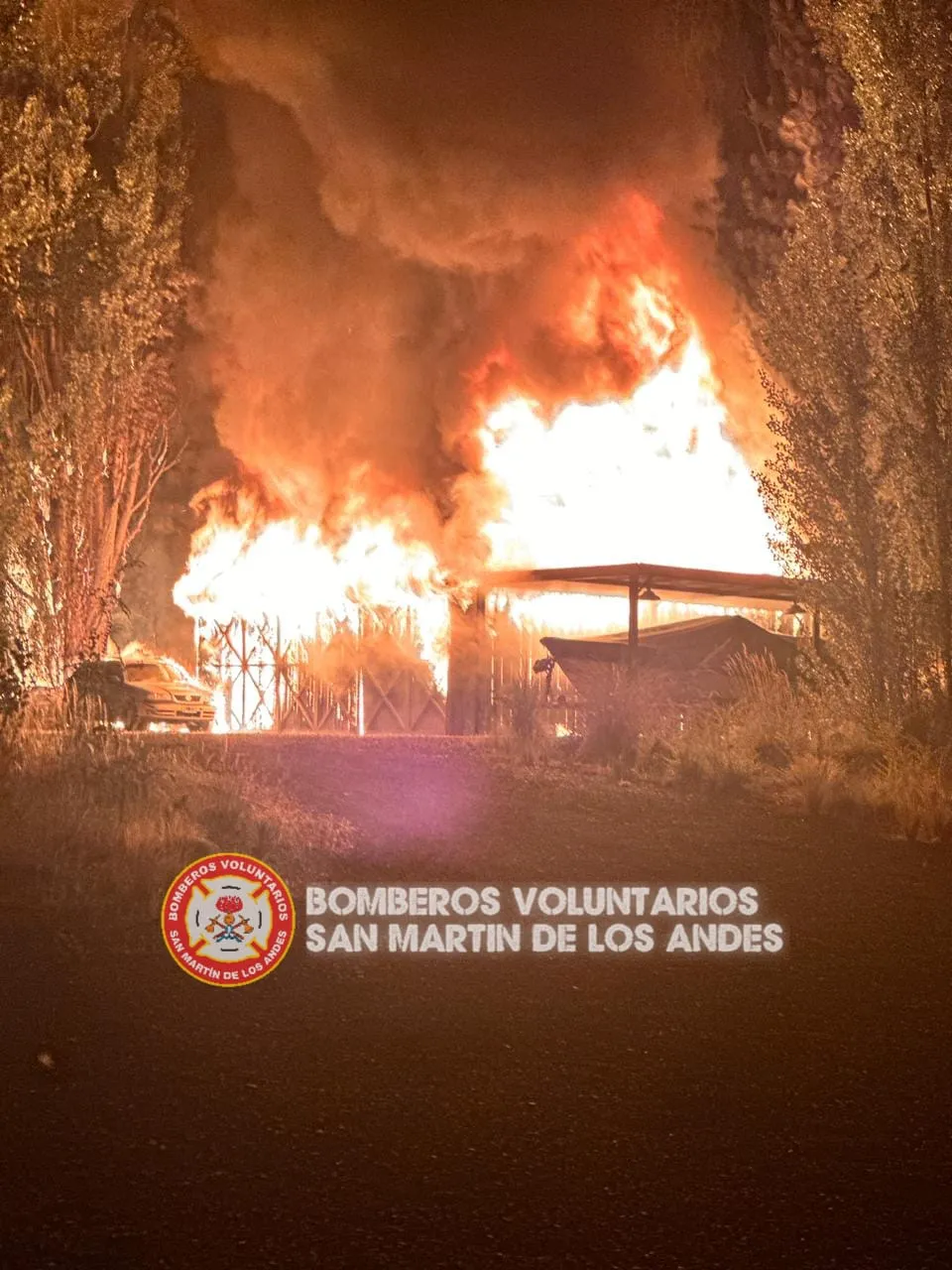 Imagen de WhatsApp 2025-01-09 a las 06.48.33_abc09071