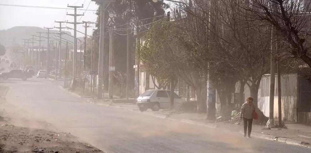 WEB-Viento_0114-2882