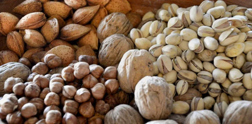 web-Frutos-secosNQN-1068x528