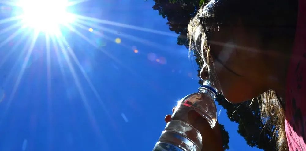 Web...Calor 3