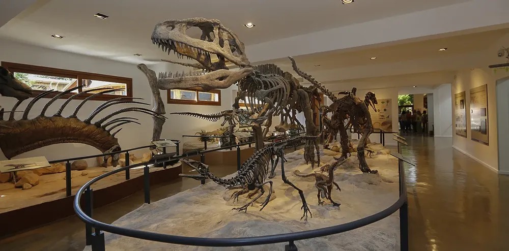 WEB-ROLANDO-FIGUEROA-EN-MUSEO-DE-CIENCIAS-NASTURALES-SMA-0805