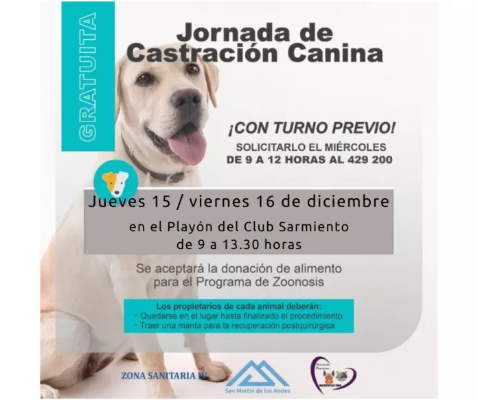 Jueves-15-y-viernes-16-de-diciembre-1-696x583