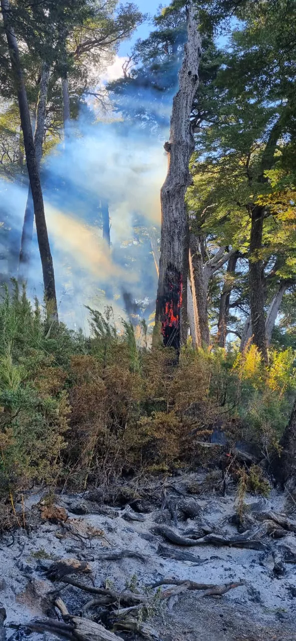 WhatsApp Image 2023-03-16 at 12.03.33