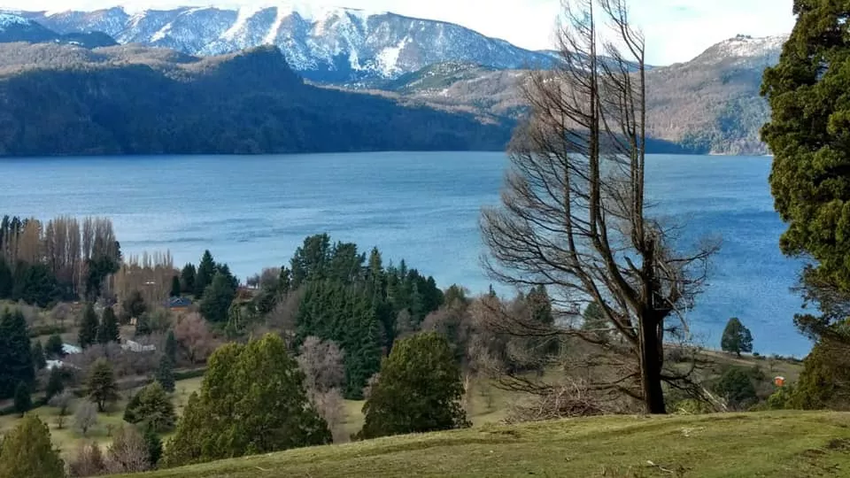 117772535_3490420447686794_1266898593417219459_n