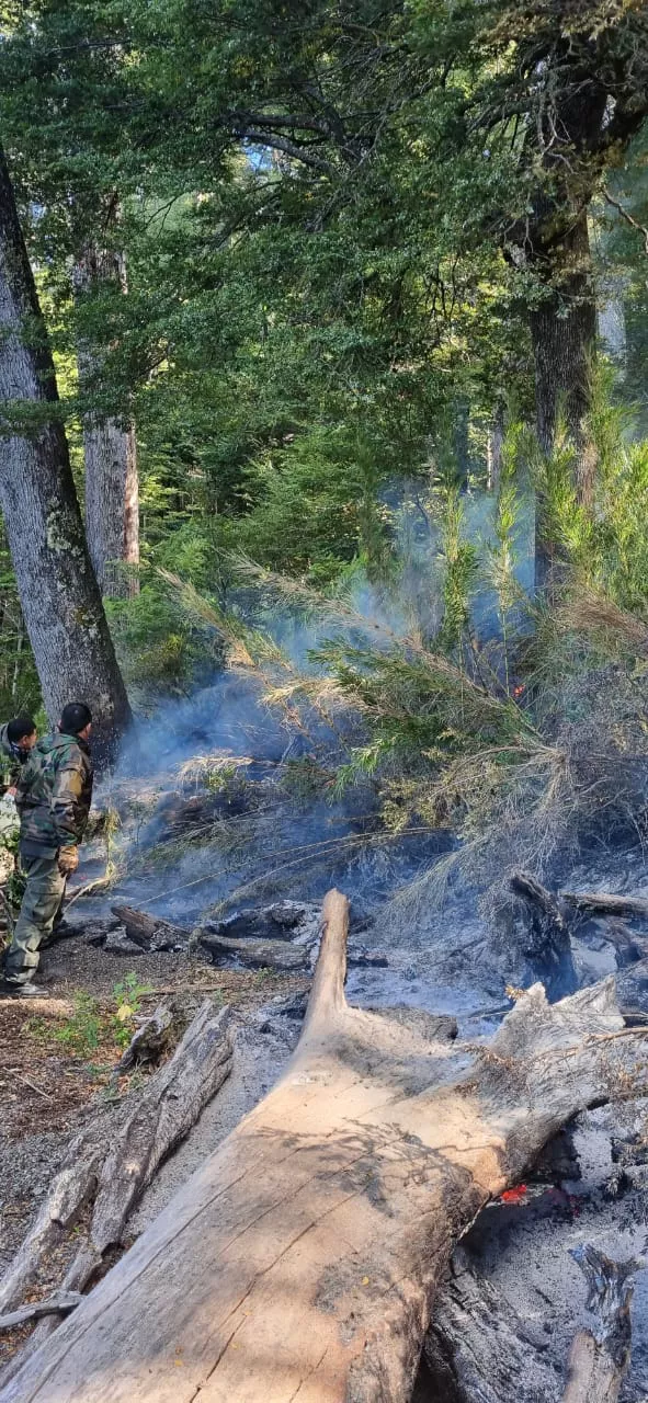 WhatsApp Image 2023-03-16 at 12.03.34 (1)