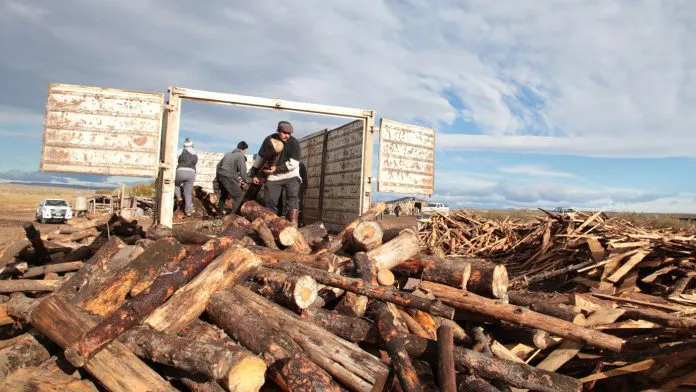 WEB-Operativo-Lena-4-696x392