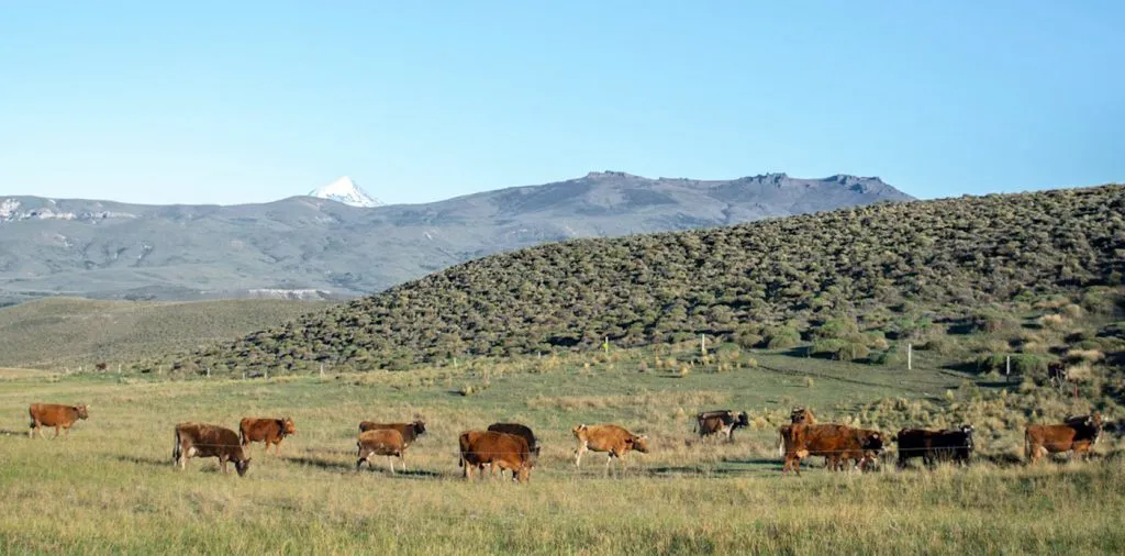 web-emergencia-por-sequia-1-1024x506