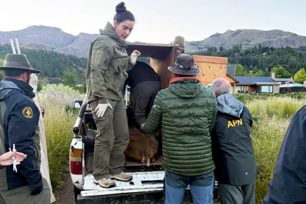 md - 2025-12-19T092847.554