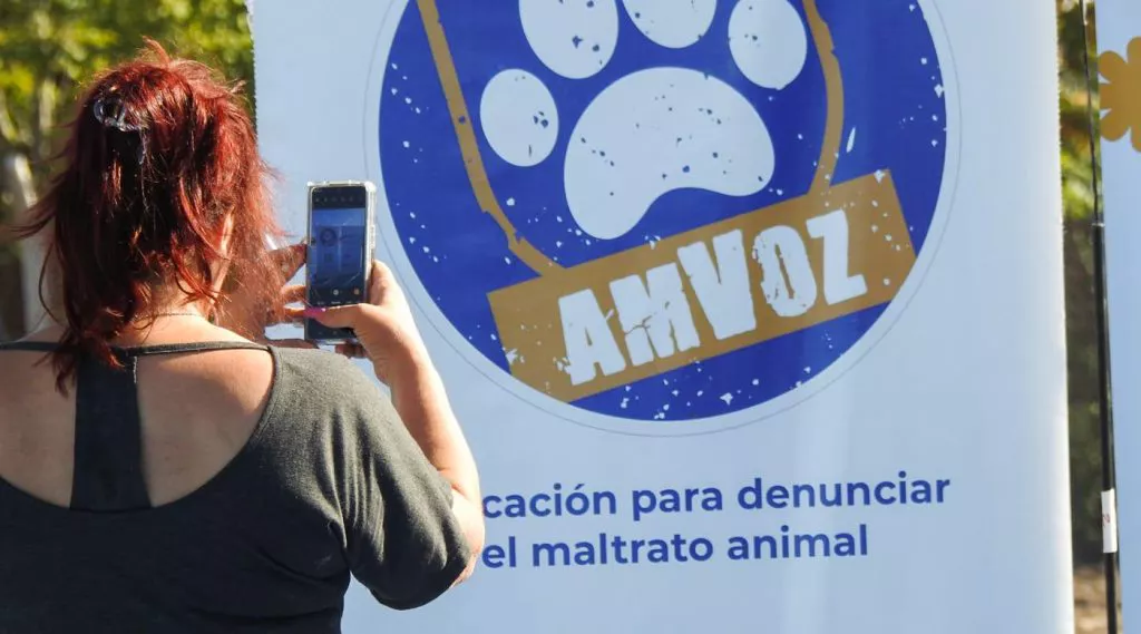 WEB-AMVOZ-1-1024x569