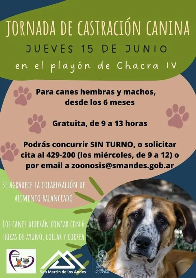 352402206_925341801868246_6373780200899353652_n