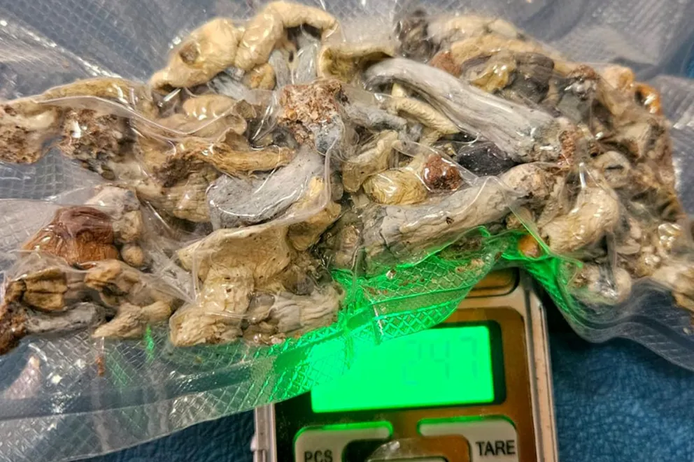 md - 2025-06-26T111952.050