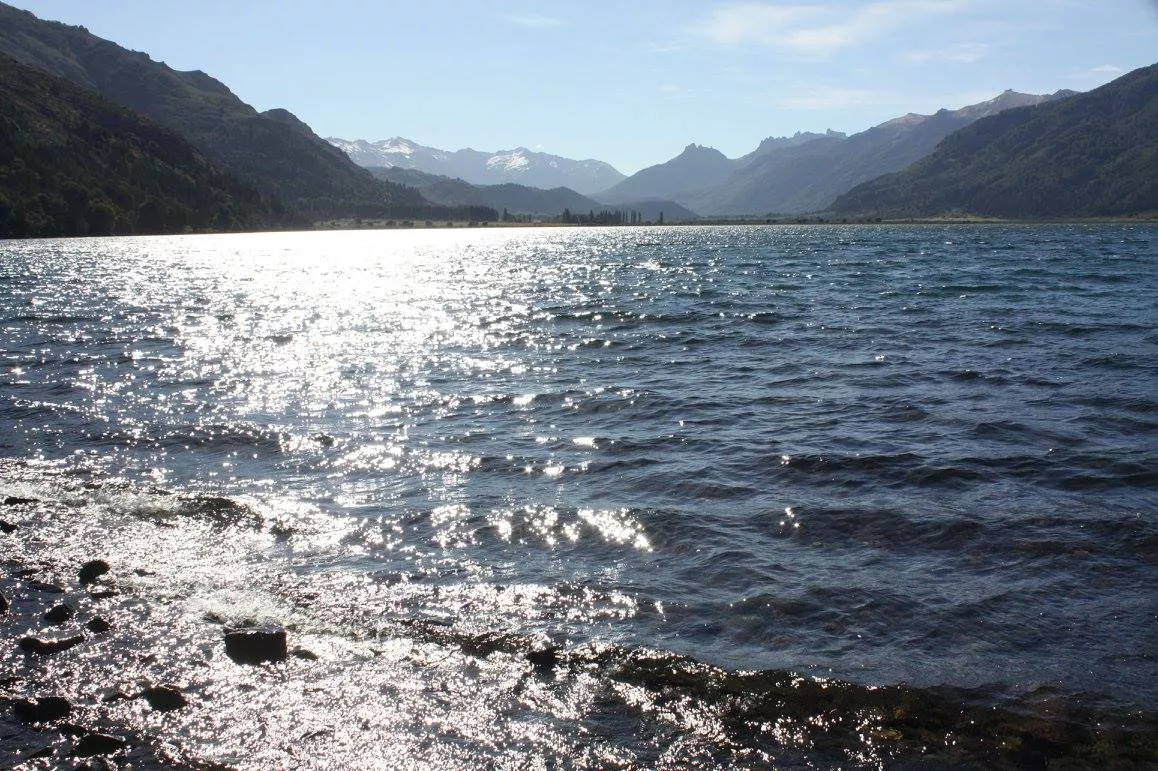 15250738_1358126817582845_2243339495215305908_o