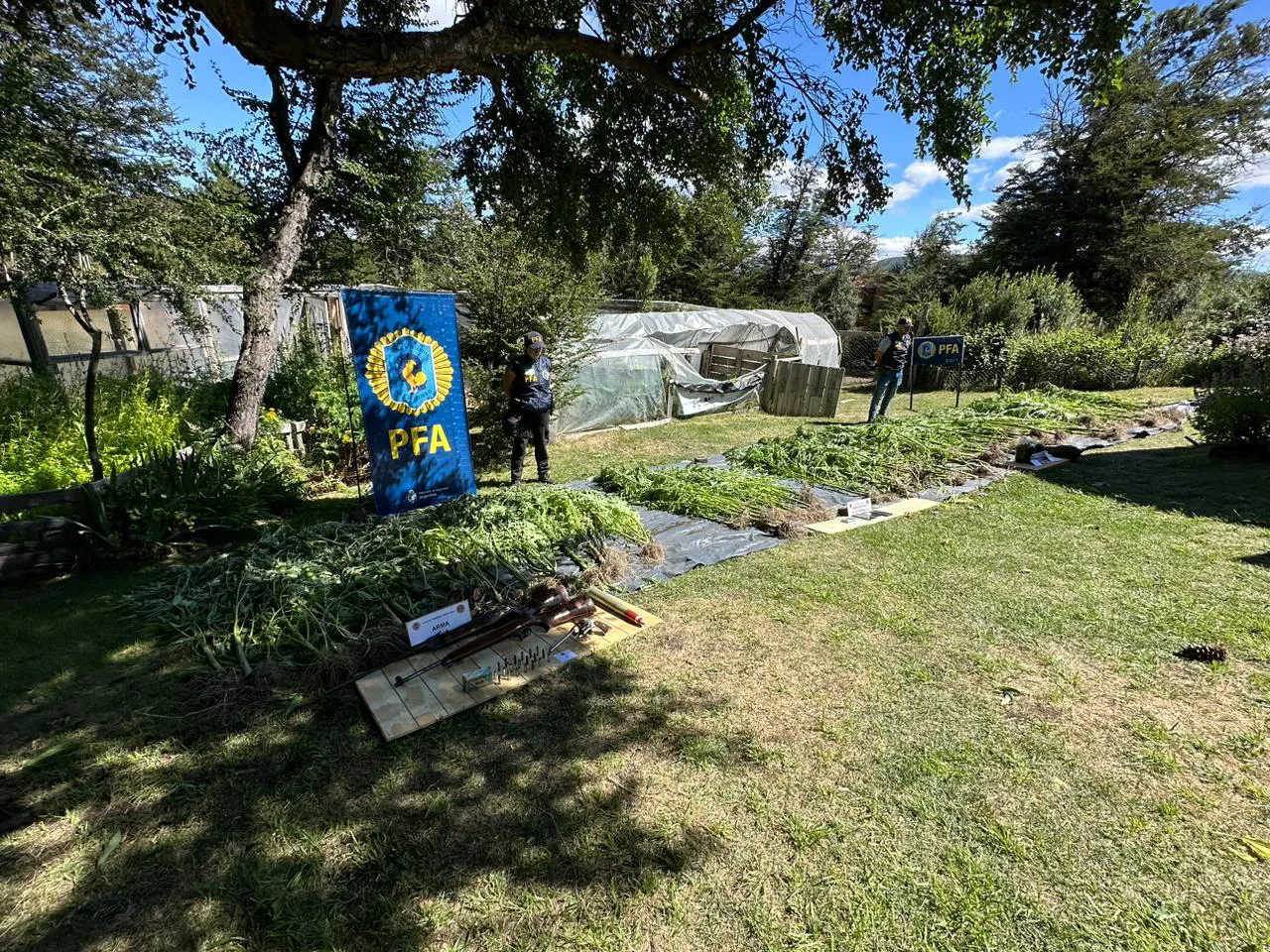 WhatsApp Image 2024-02-20 at 17.33.19 (1)