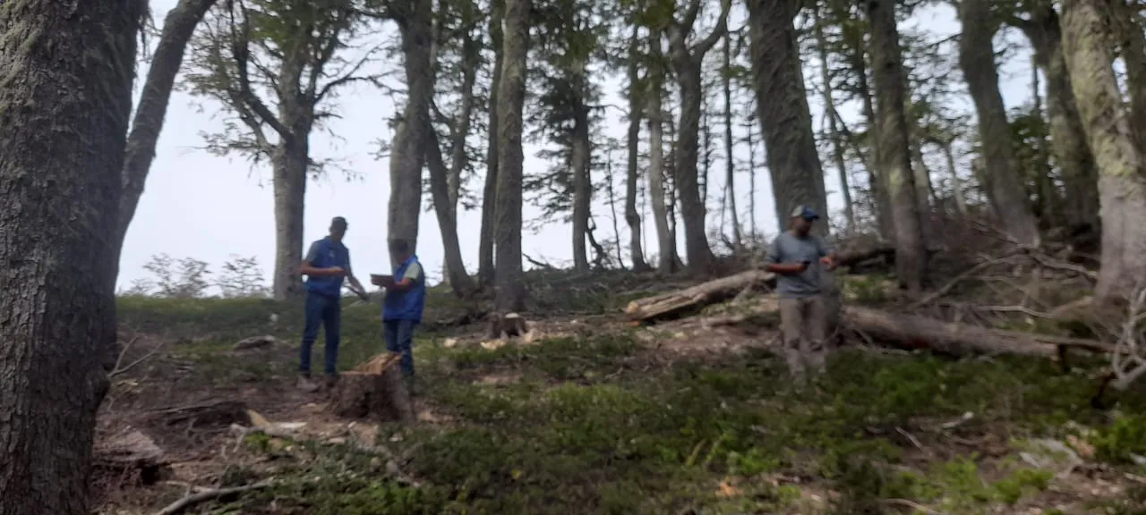 Imagen de WhatsApp 2025-03-21 a las 09.56.36_408935db