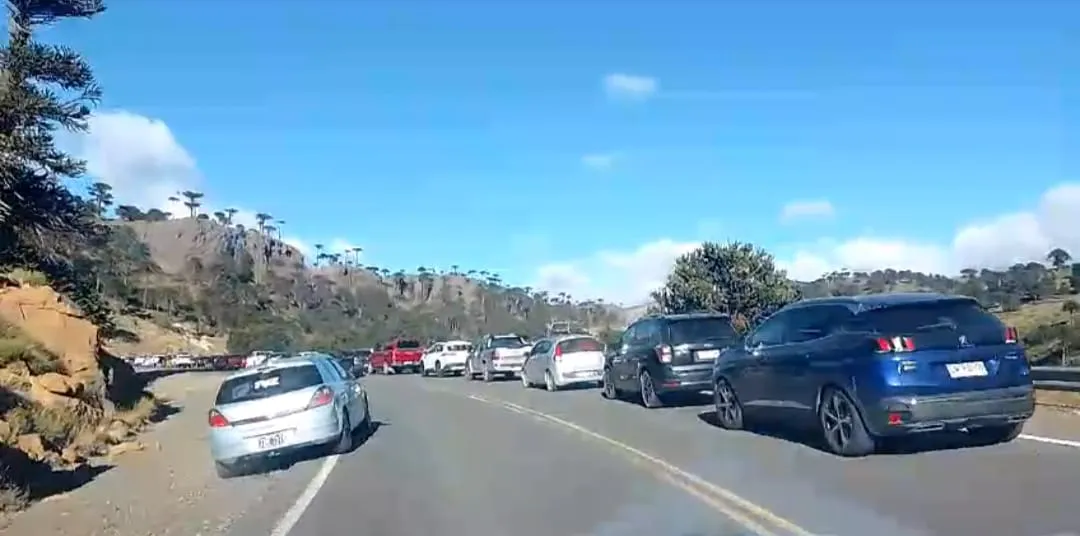 Imagen de WhatsApp 2025-03-03 a las 11.27.07_ccc536c7